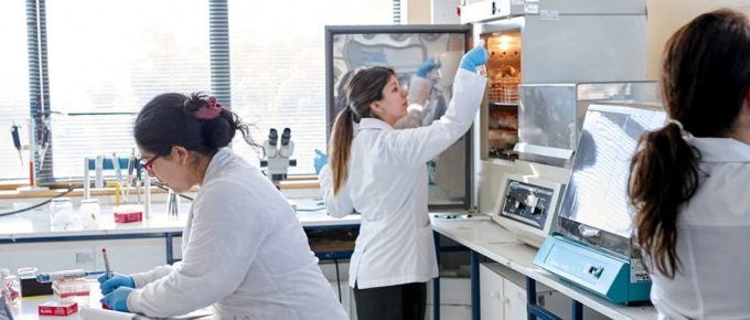 Ley I+D alcanzó el monto certificado más alto de su historia durante 2023